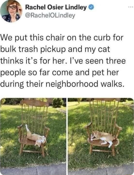 5 Rachel Osier Lindley M RachelOLindley We put this chair on the curb for bulk trash pickup and my cat thinks its for her Ive seen three people so far come and pet her during their neighborhood walks