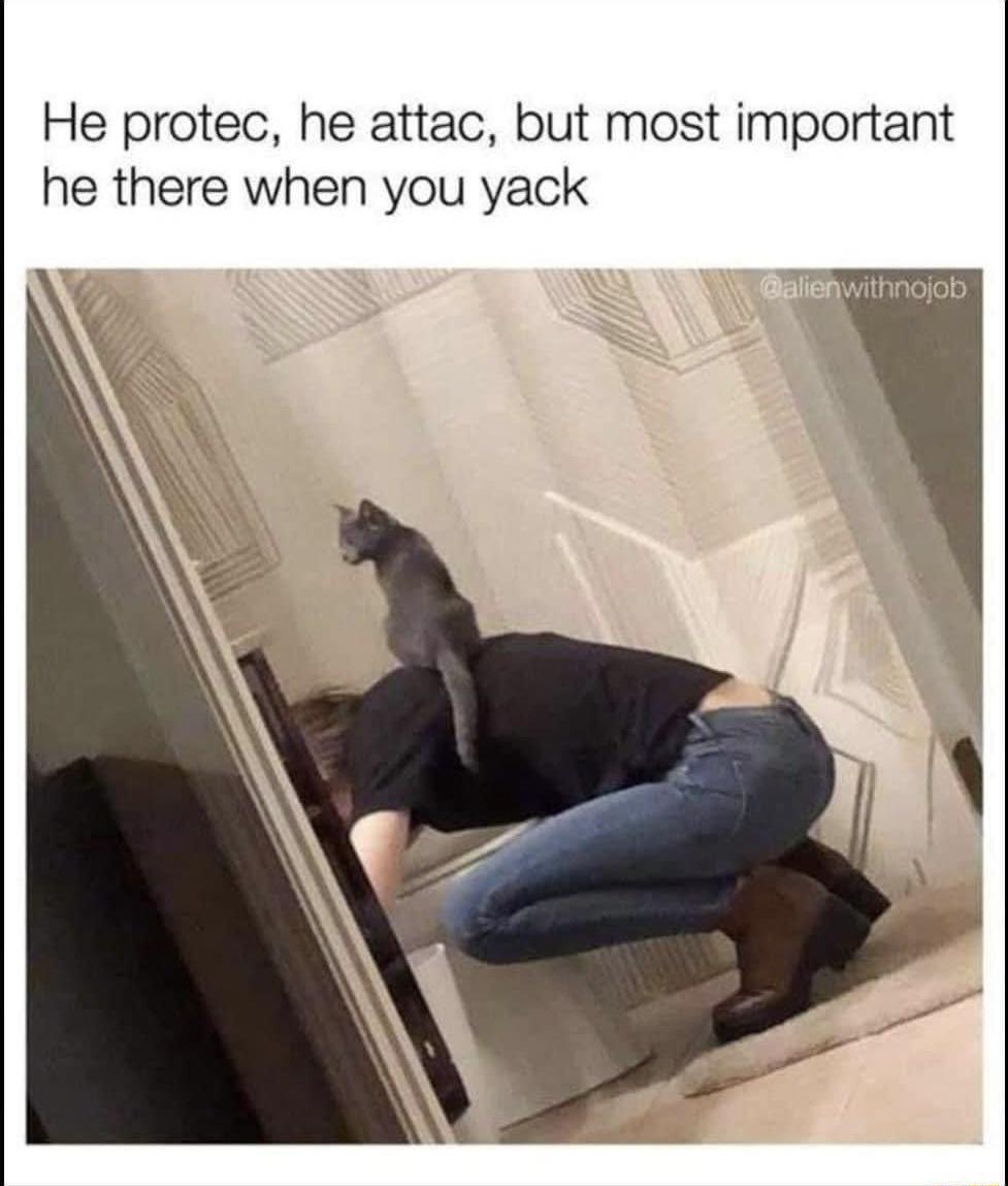 He protec he attac but most important he there when you yack