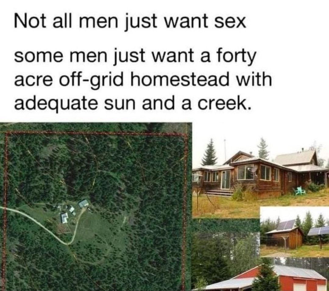 Not all men just want sex some men just want a forty acre off grid homestead with adequate sun and a creek