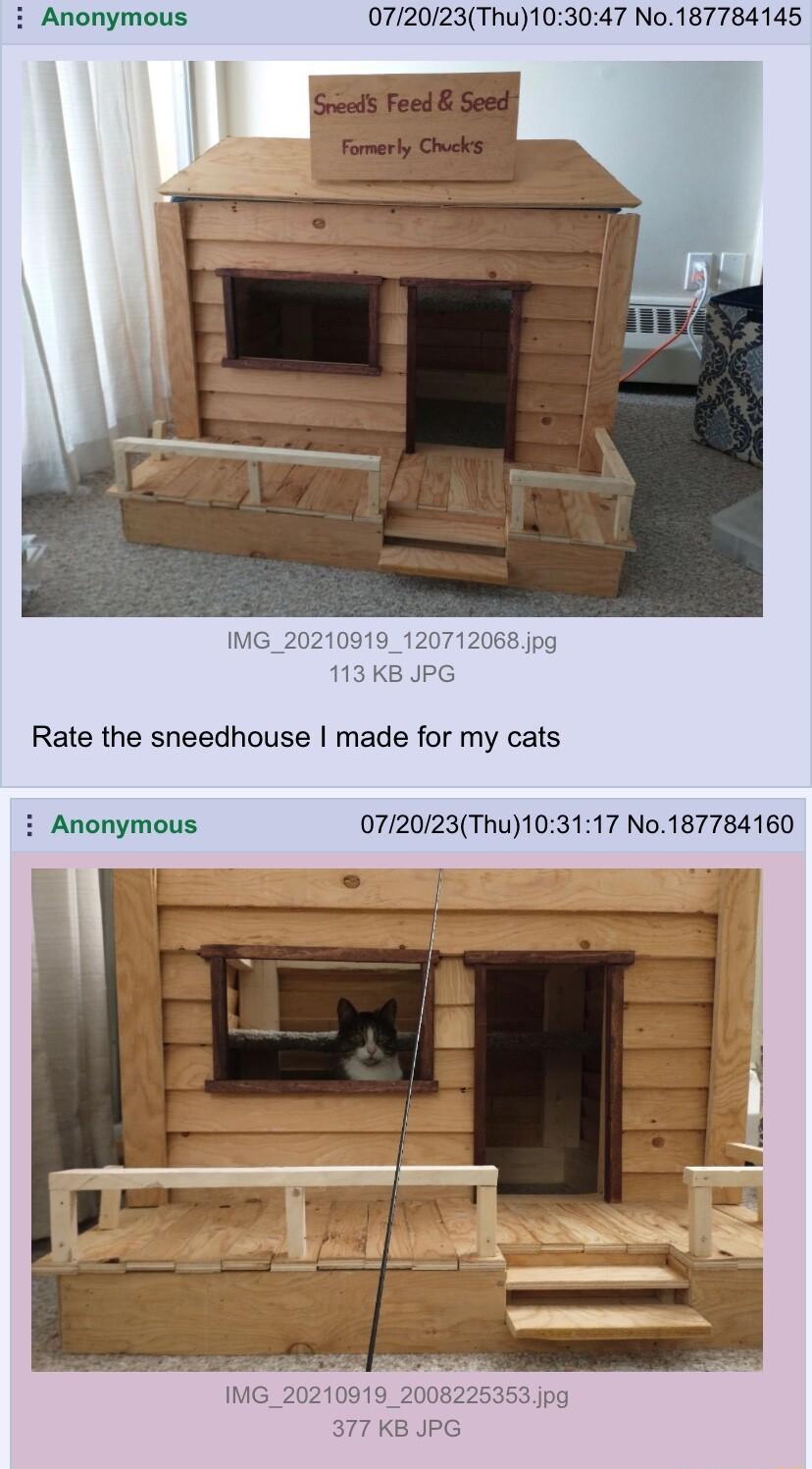 Anonymous 072023Thu103047 No187784145 IMG_20210919_120 113 KB JPG Rate the sneedhouse made for my cats i Anonymous 072023Thu103117 No187784160