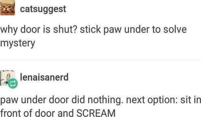 catsuggest why door is shut stick paw under to solve mystery lfb lenaisanerd paw under door did nothing next option sit in front of door and SCREAM