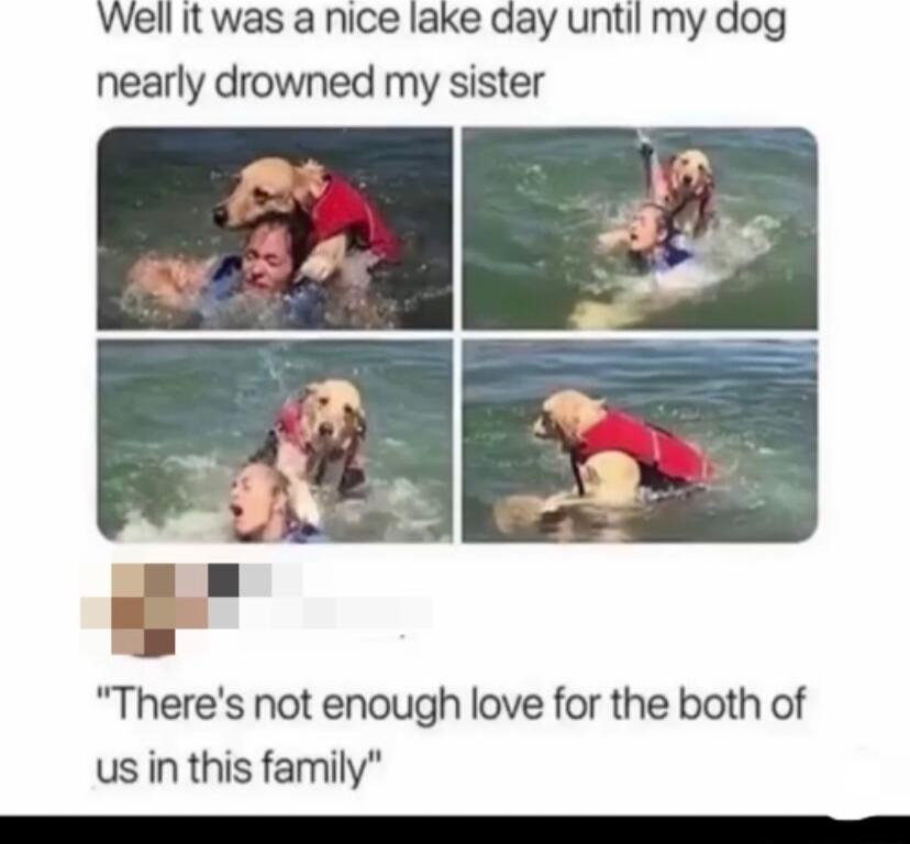 Well it was a nice lake day until my dog nearly drowned my sister 1 Theres not enough love for the both of us in this family