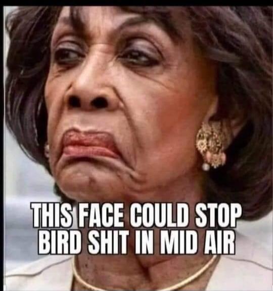 THIS FACE COULD STOP BIRD SHIT IN MID AIR