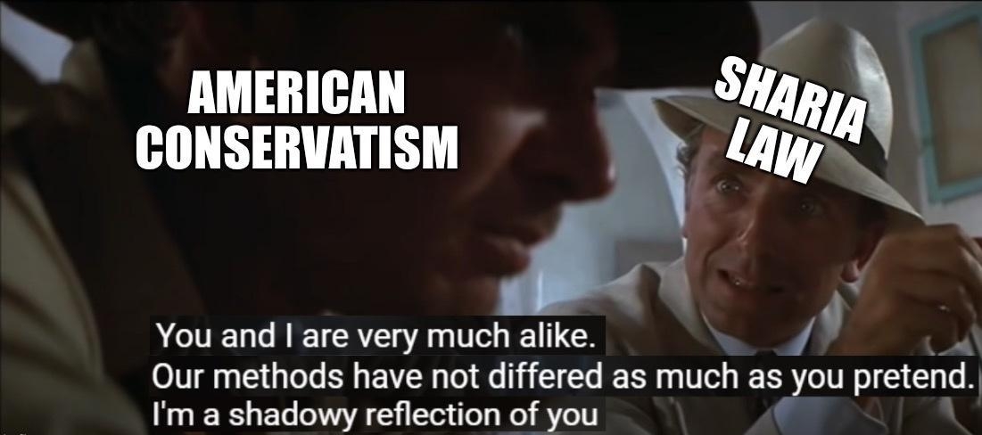 AMERICAN CONSERVATISM You and are very much alike d Our methods have not differed as much as you pretend m a shadowy reflection of you