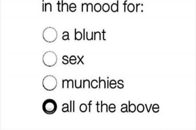 in the mood for: a blunt sex munchies all of the above