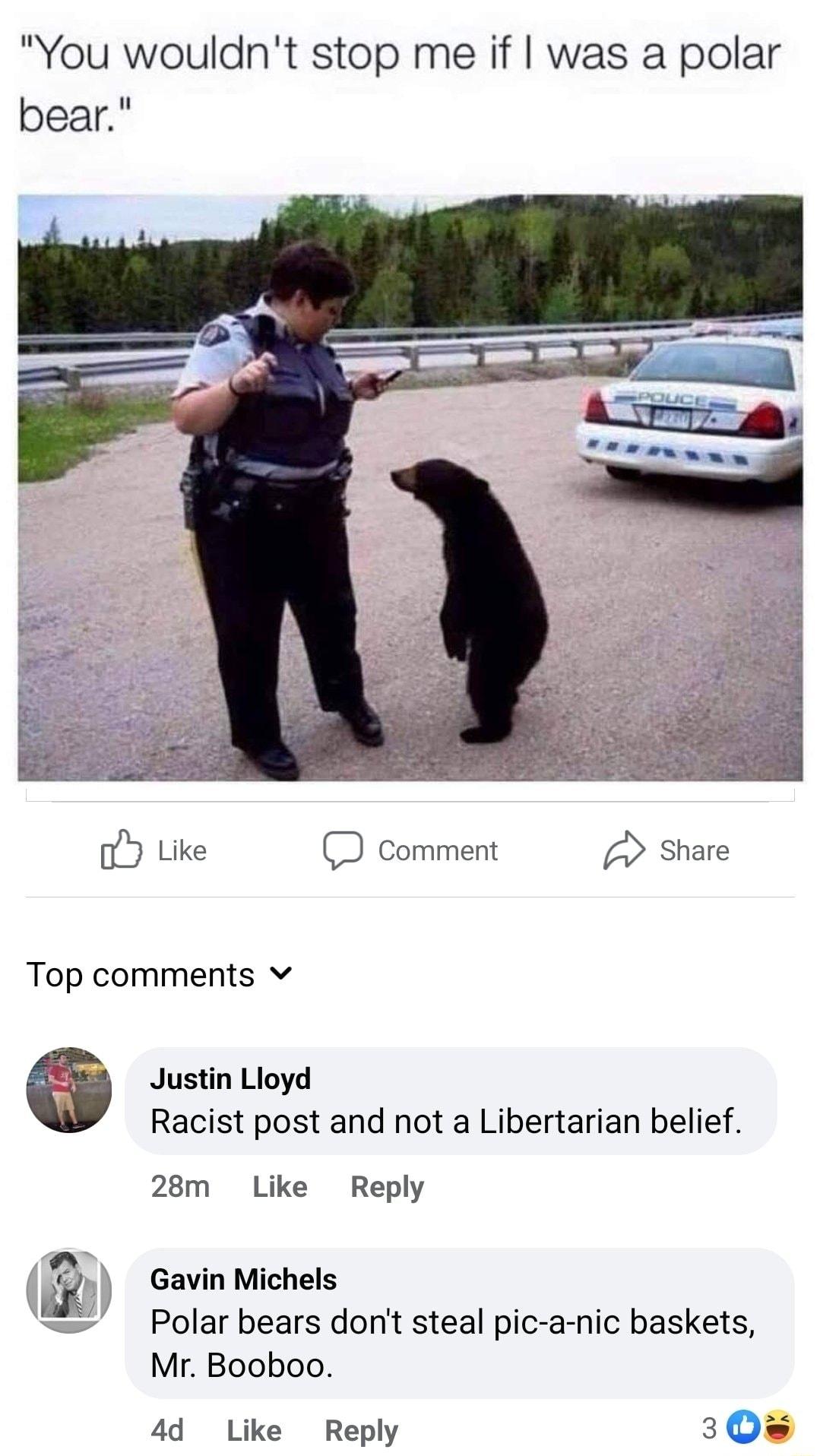 You wouldnt stop me if was a polar bear o Like D comment share Top comments v 6 Justin Lioyd Racist post and not a Libertarian belief 28m Like Reply Gavin Michels Polar bears dont steal pic a nic baskets Mr Booboo 4d Like Reply 30