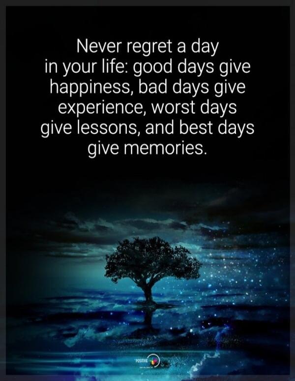 Never regret a day in your life: good days give happiness, bad days give experience, worst days give lessons, and best days give memories.