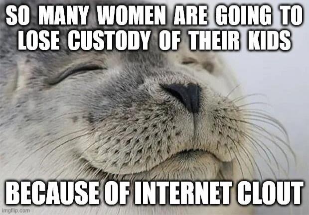SO MANY WOMEN ARE GOING TO LOSE CUSTODY OF THEIR KIDS BECAUSE OF INTERNET CLOUT