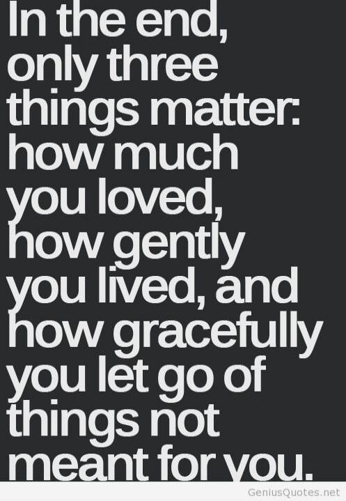 In the end, only three things matter: how much you loved, how gently you lived, and how gracefully you let go of things not meant for you.