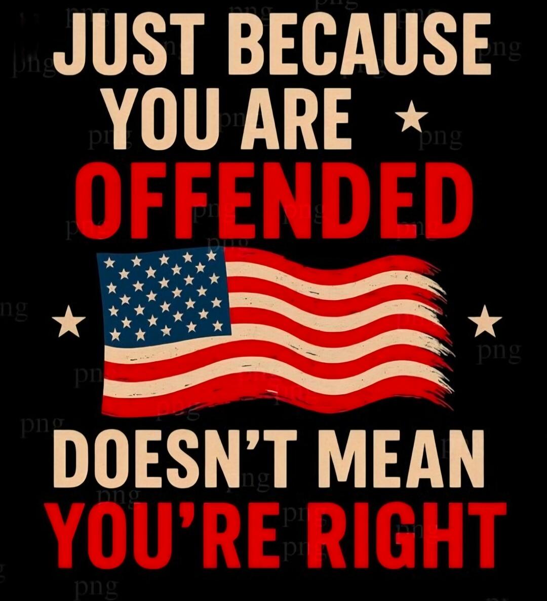 JUST BECAUSE YOU ARE OFFENDED DOESN'T MEAN YOU'RE RIGHT