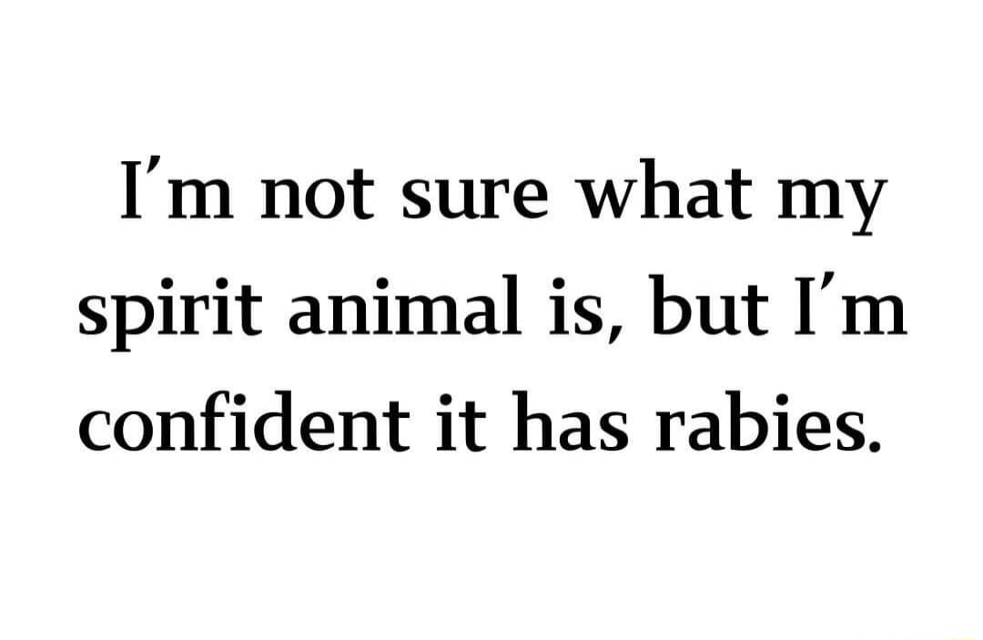 Im not sure what my spirit animal is but Im confident it has rabies