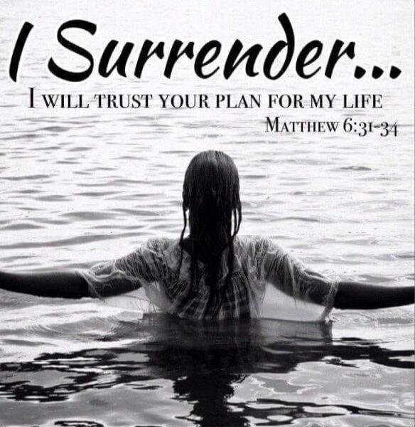 I Surrender... I WILL TRUST YOUR PLAN FOR MY LIFE Matthew 6:31-34