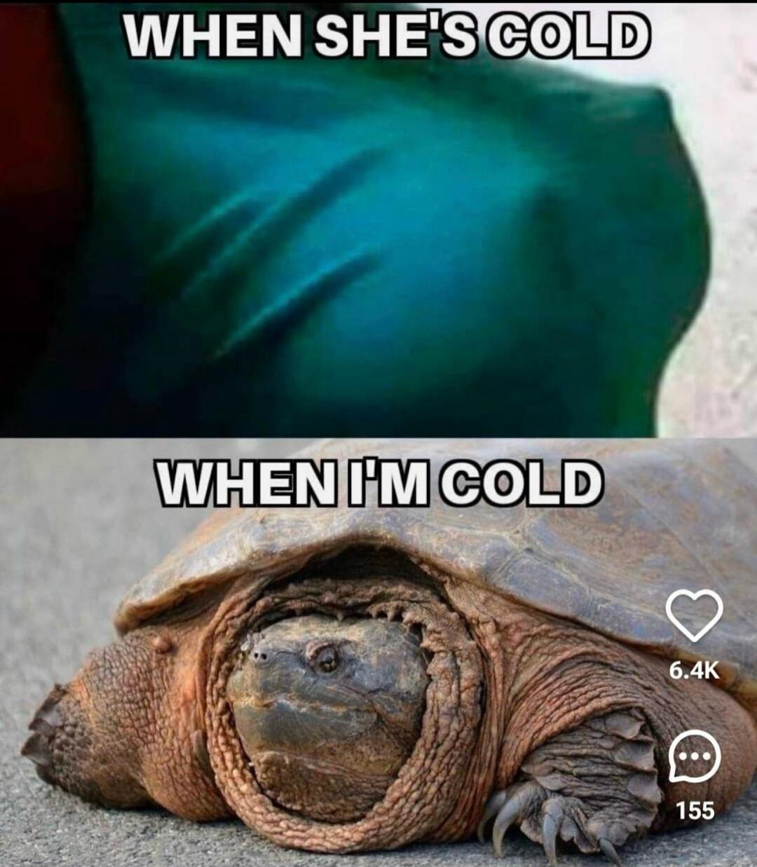 WHEN SHE'S COLD WHEN I'M COLD