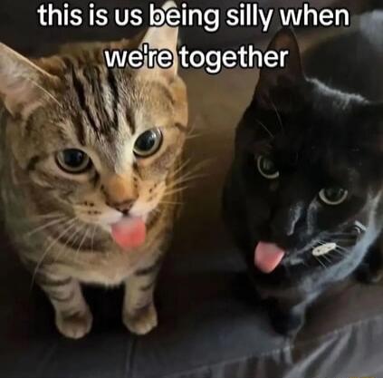 LOISTSVEY o p e IS WA 14 E k Q Welieltogether Sy