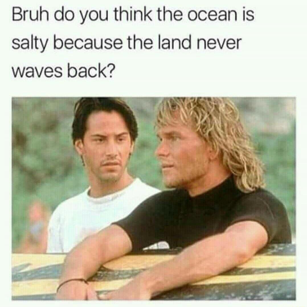 Bruh do you think the ocean is salty because the land never waves back?