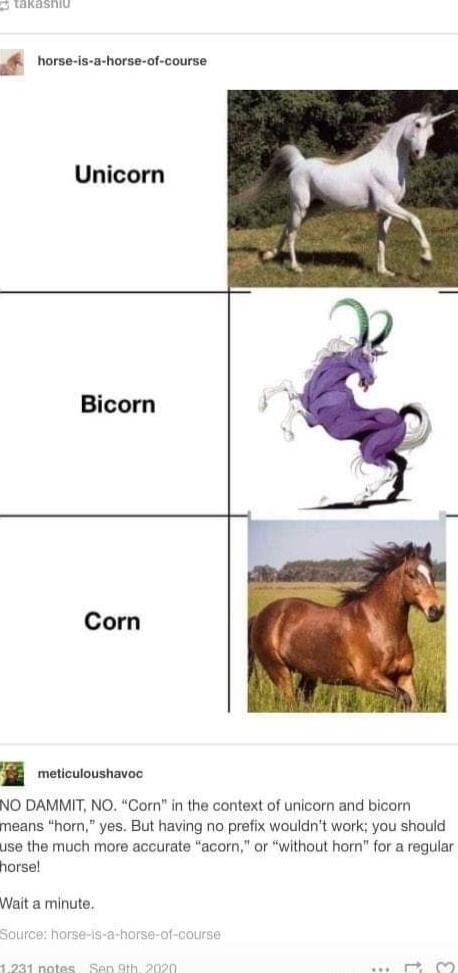 horse is a horse of course Unicorn Bicorn Corn W etcuoushavos NO DAMMIT NO Com in the context of unicorn and bicarn means horn yes But having no prefix wouldnt work you should use the much more accurate acorn or without hom for a regular horse Wait a minute