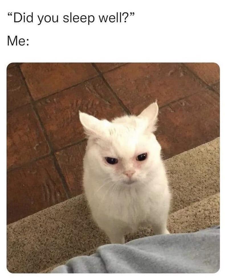 Did you sleep well Me