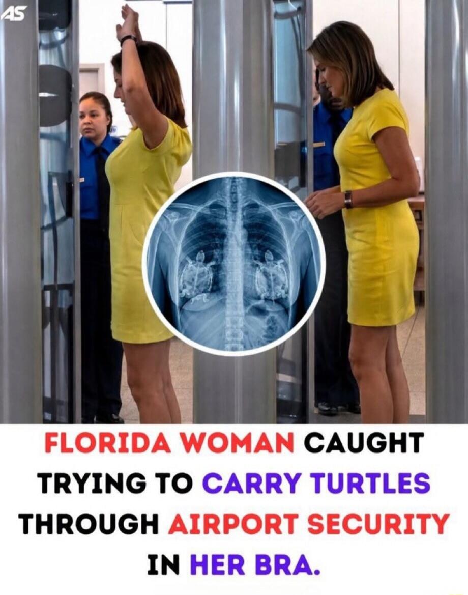 FLORIDA WOMAN CAUGHT TRYING TO CARRY TURTLES THROUGH AIRPORT SECURITY IN HER BRA.