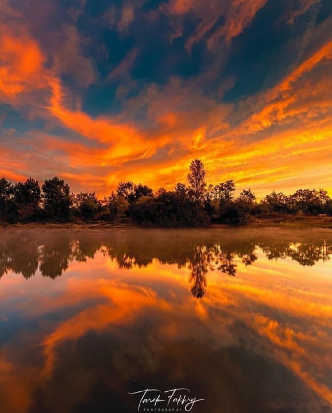 Sunset over a calm lake with vibrant orange clouds, silhouetted trees along the horizon, and a perfect reflection of the sky in the water.