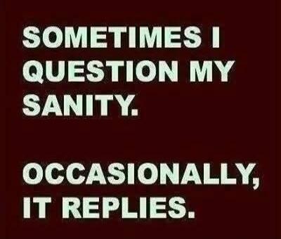 SOMETIMES I QUESTION MY SANITY. OCCASIONALLY, IT REPLIES.