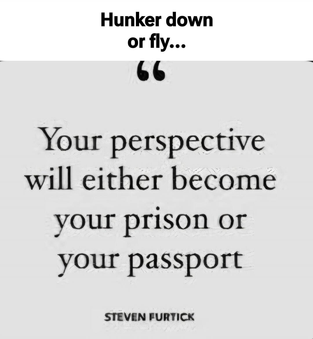 Hunker down or fly... Your perspective will either become your prison or your passport. STEVEN FURTICK