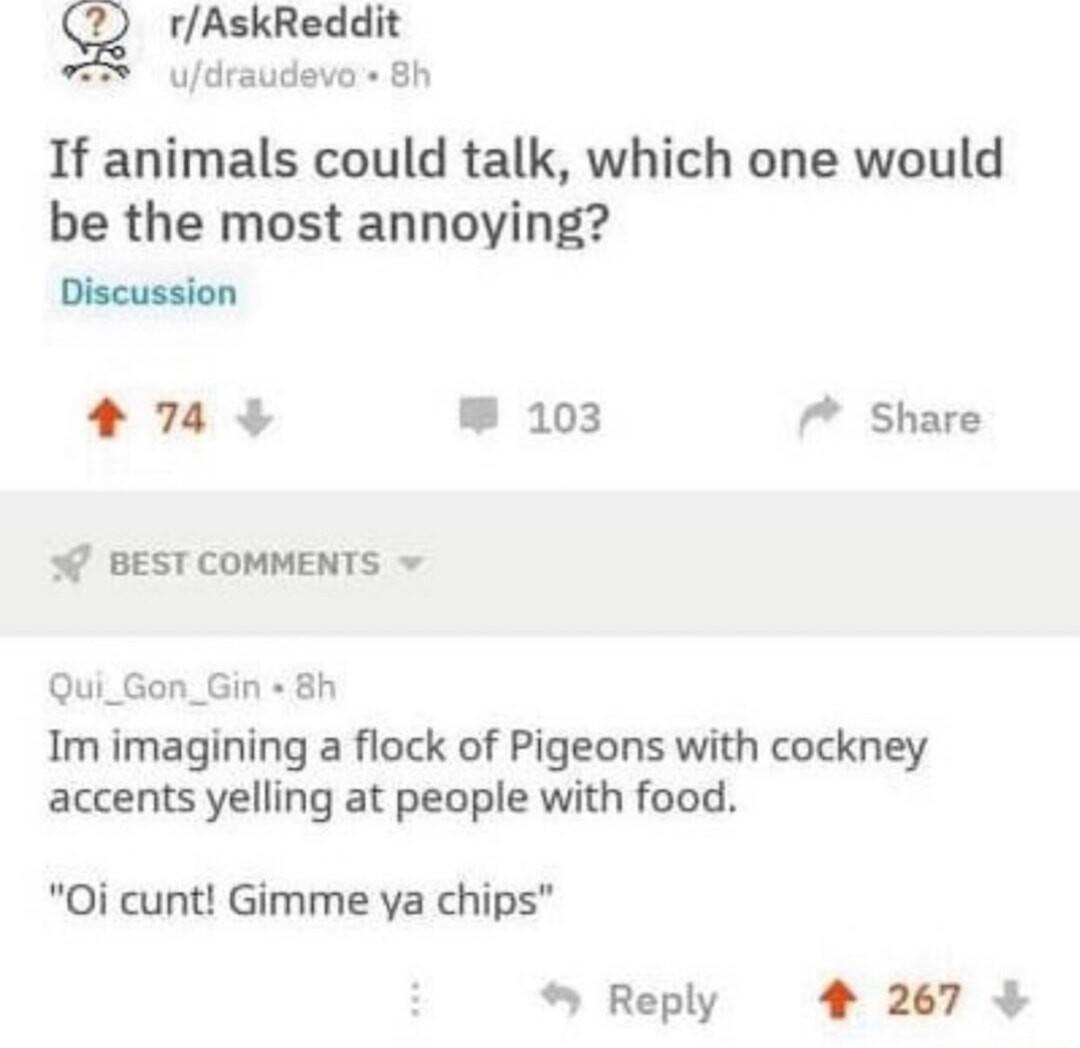 g rAskReddit udraudeva 8h If animals could talk which one would be the most annoying Discussion 74 3 103 Share o BEST COMMENTS Qui_Gon_Gin 8h Im imagining a flock of Pigeons with cockney accents yelling at people with food Oi cunt Gimme va chips Reply 267