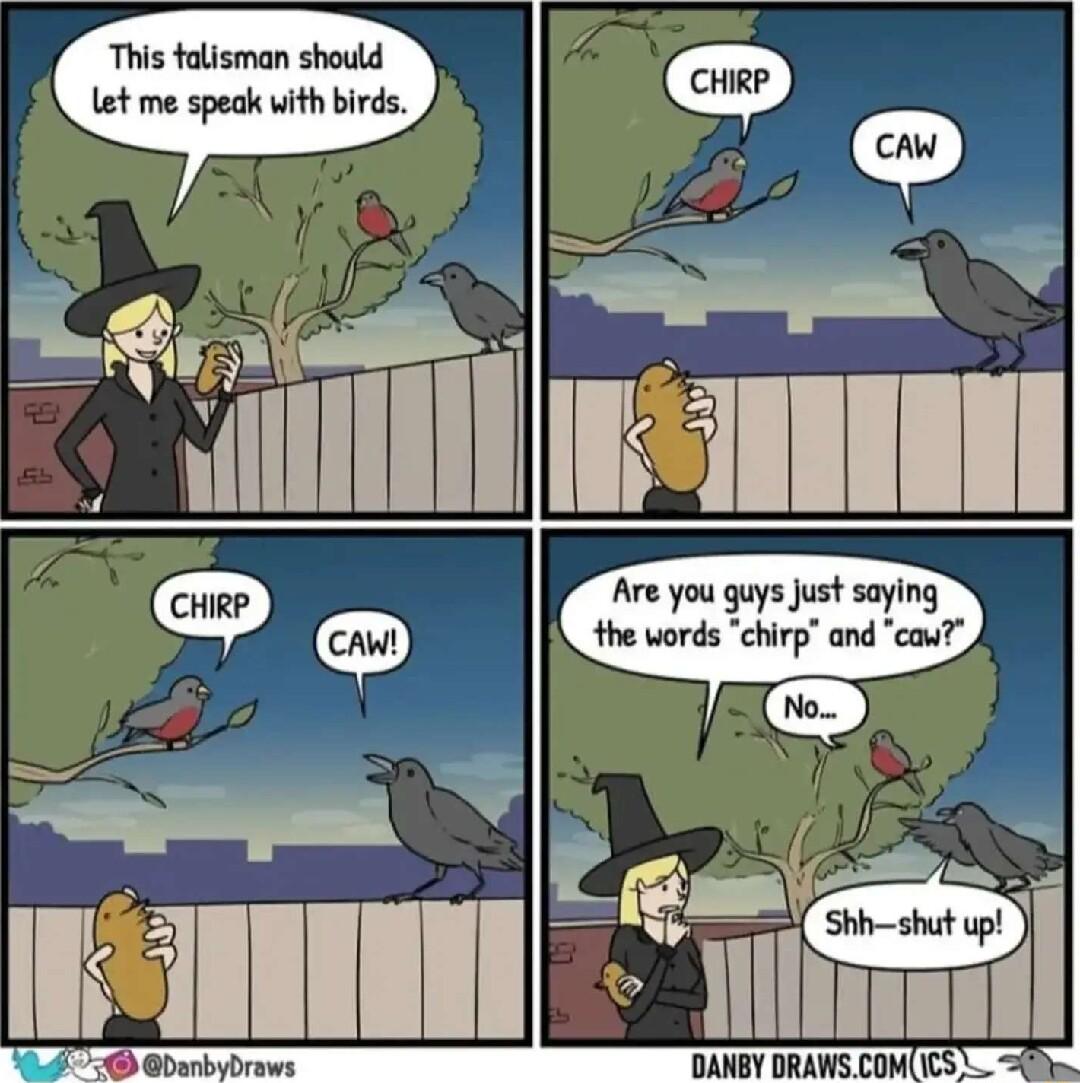 This talisman should Let me speak with birds i 4 17 4 L oo mv