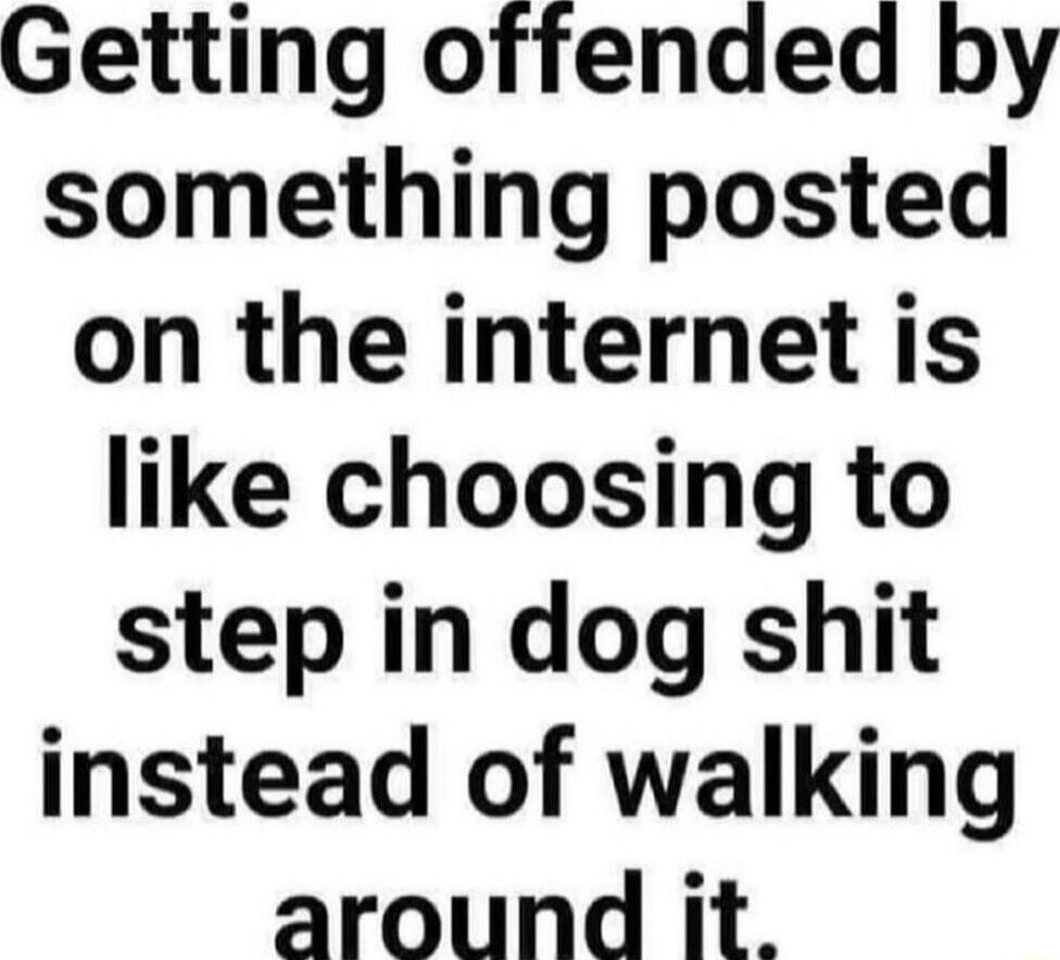 Getting offended by something posted on the internet is like choosing to step in dog shit instead of walking around it