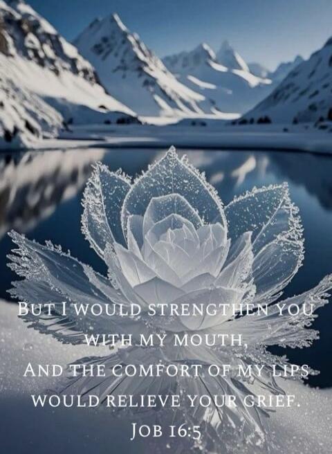BUT I WOULD STRENGTHEN YOU WITH MY MOUTH, AND THE COMFORT OF MY LIPS WOULD RELIEVE YOUR GRIEF. JOB 16:5