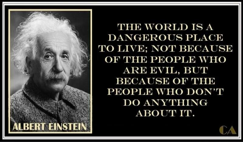 THE WORLD IS A DANGEROUS PLACE TO LIVE; NOT BECAUSE OF THE PEOPLE WHO ARE EVIL, BUT BECAUSE OF THE PEOPLE WHO DON'T DO ANYTHING ABOUT IT. 
ALBERT EINSTEIN