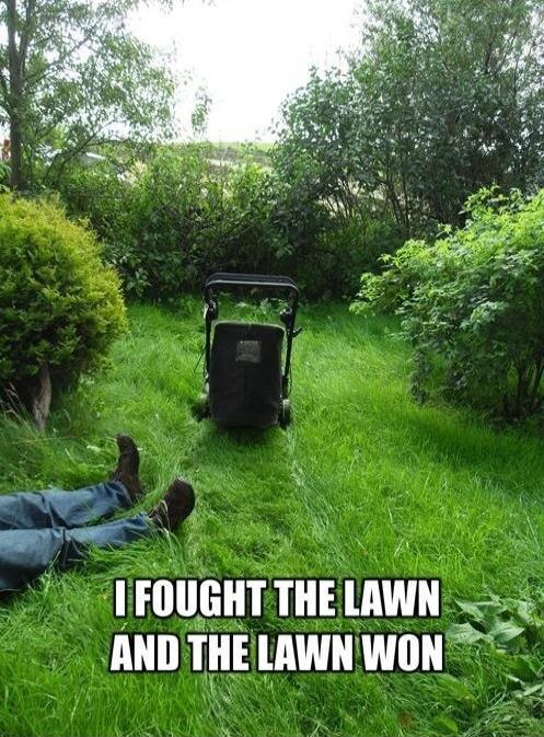 I FOUGHT THE LAWN AND THE LAWN WON