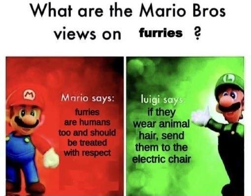 What are the Mario Bros views on furries 2 L ario says lvigi sy