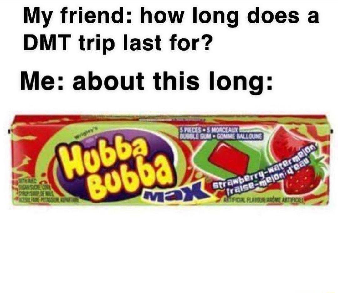 My friend how long does a DMT trip last for Me about this long