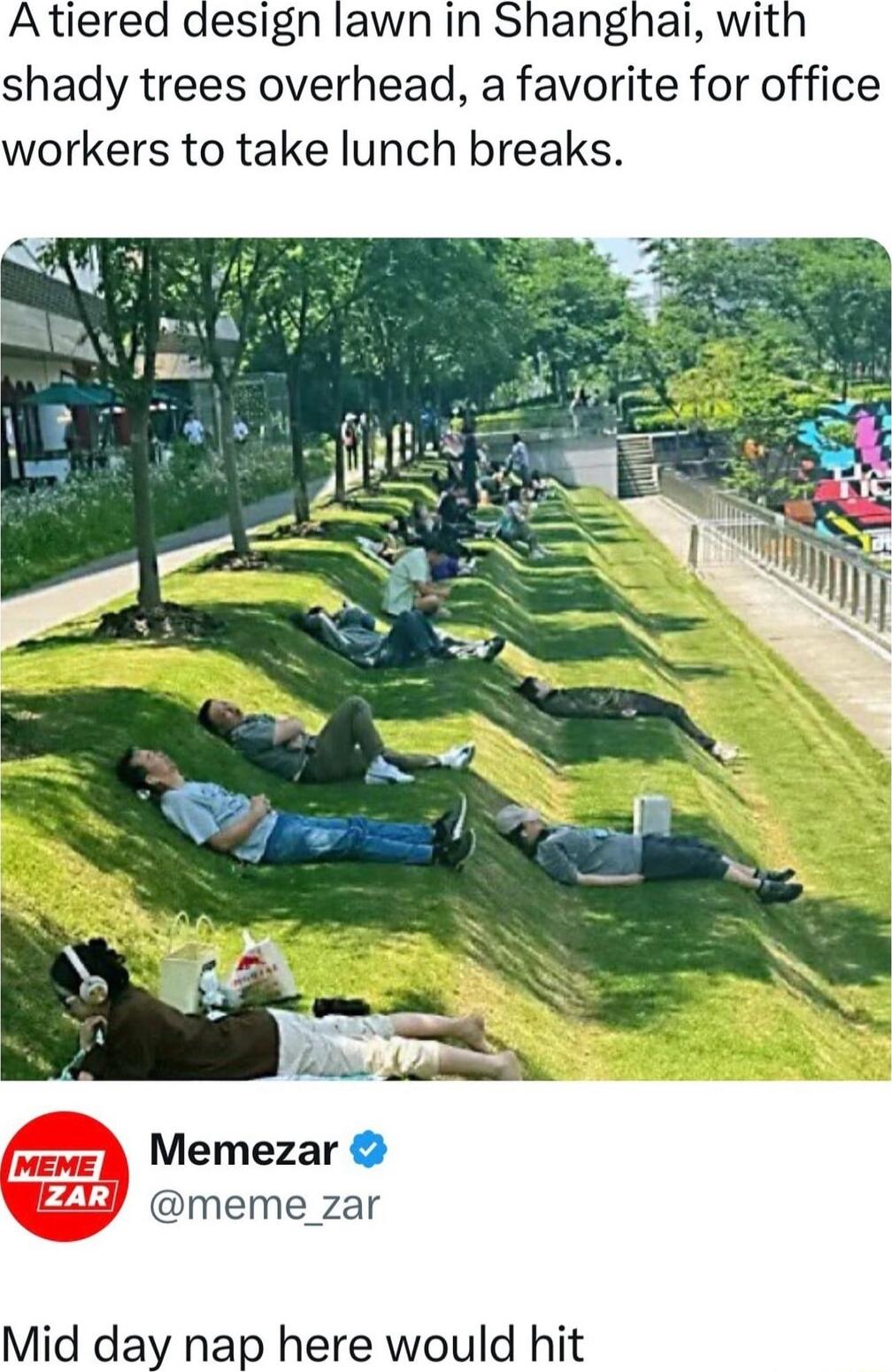 Atiered design lawn in Shanghali wit shady trees overhead a favorite for office workers to take lunch breaks Memezar EZLY meme zar Mid day nap here would hit