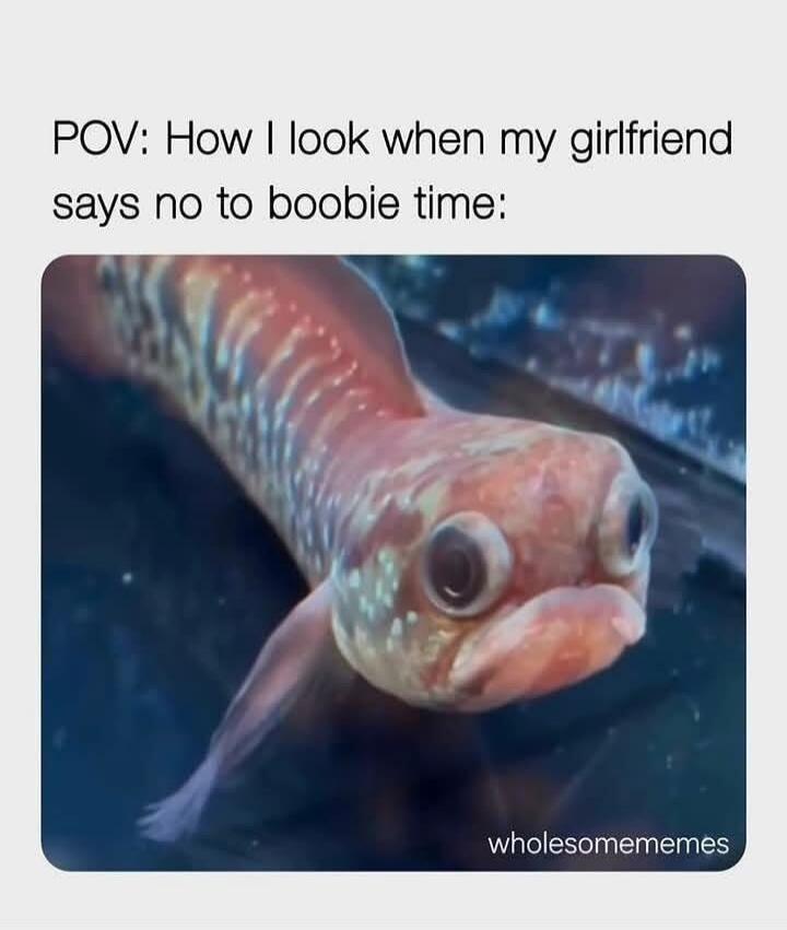 POV: How I look when my girlfriend says no to boobie time: