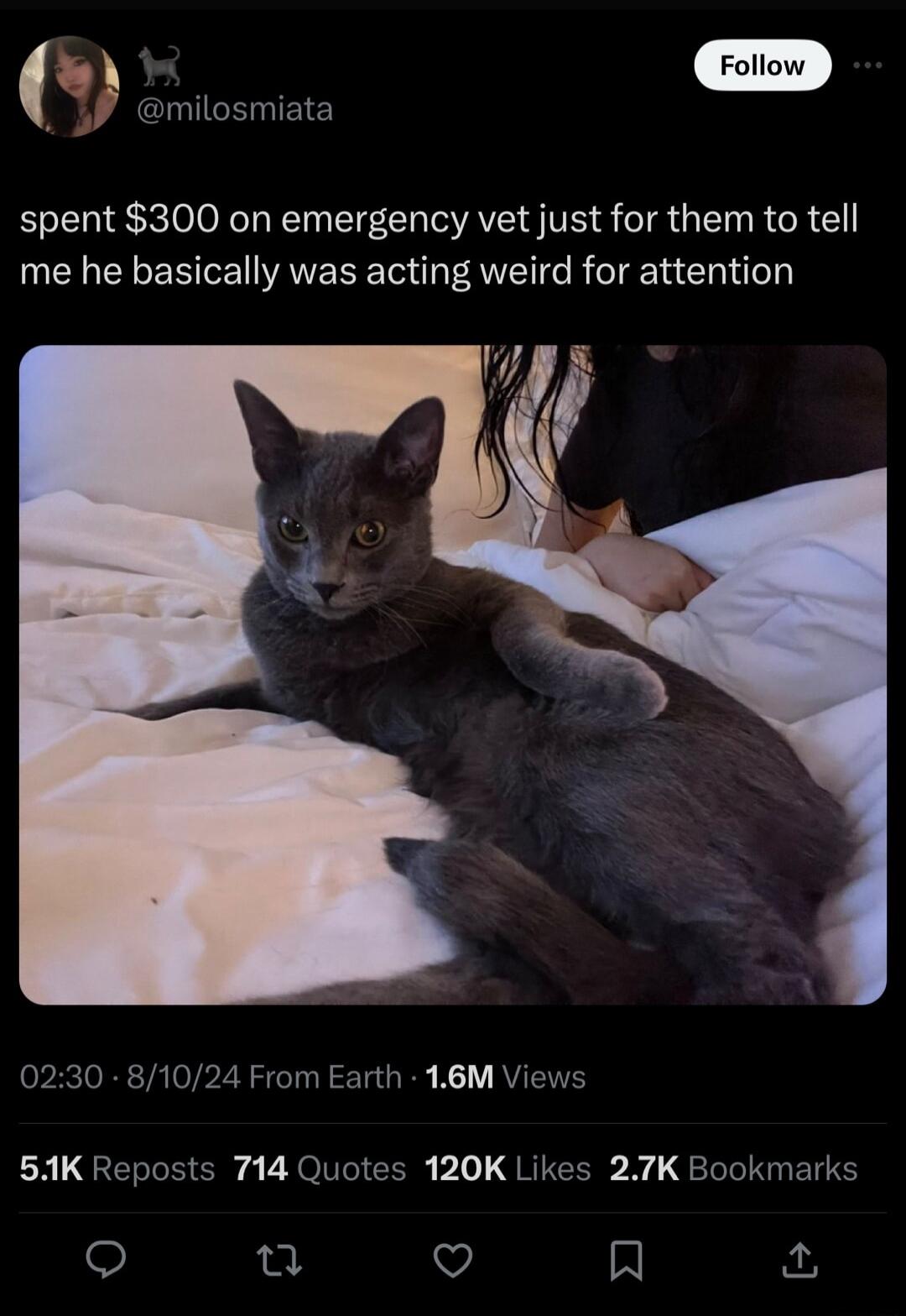 milosmiata spent 300 on emergency vet just for them to tell me he basically was acting weird for attention 1 0230 81024 From Earth 16M Views LR LQGERRE Ry o UYONVGICRRY b1 RGP N QLI ENTS V A
