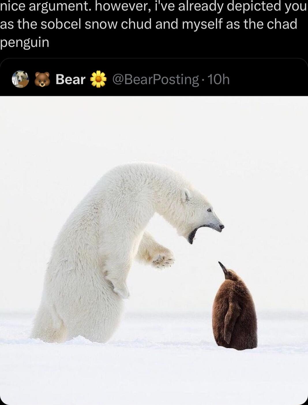 nice argument however Ive already depicted you as the sobcel snow chud and myself as the chad penguin Bear
