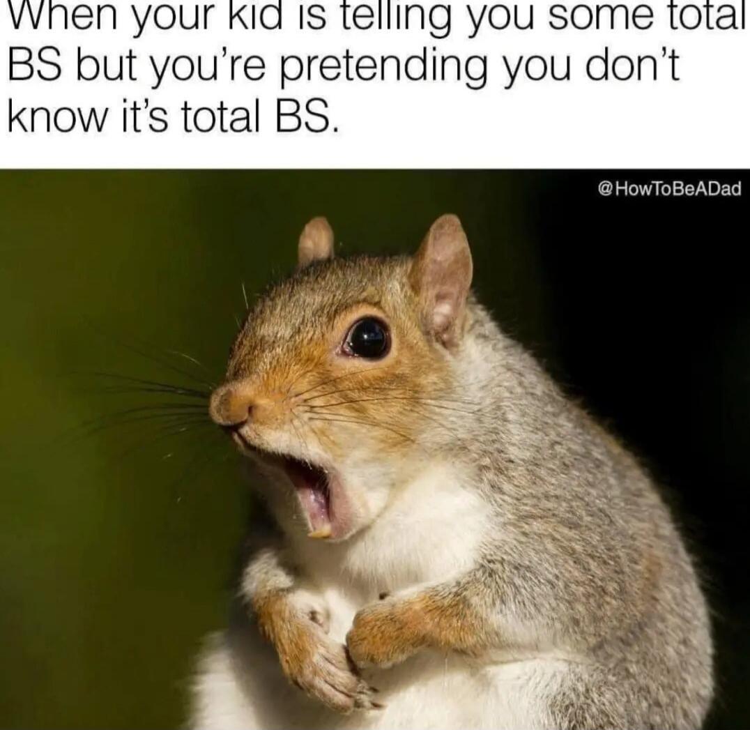 When your kid is telling you some total BS but you’re pretending you don’t know it’s total BS.