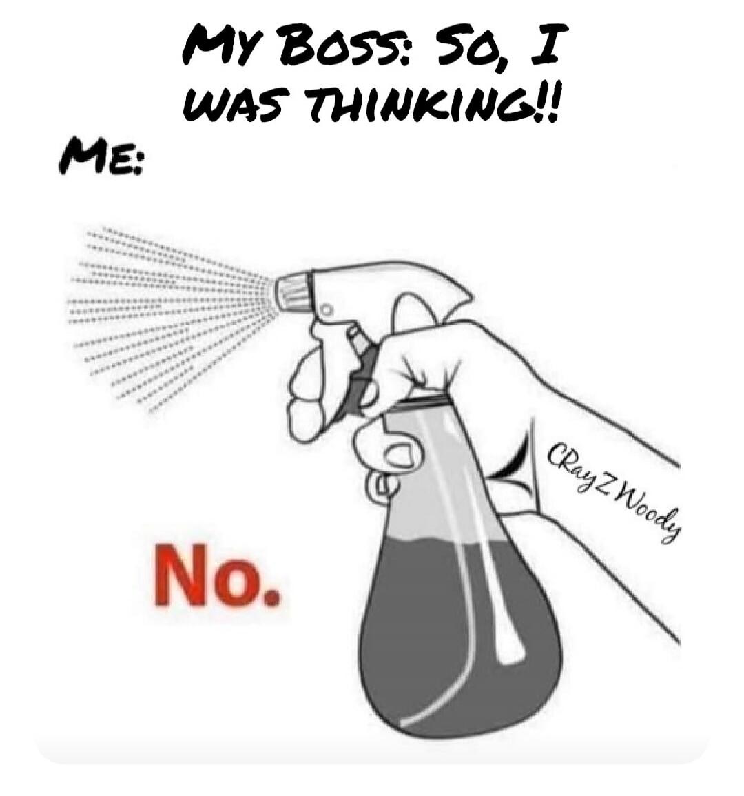 My Boss: So, I WAS THINKING!! ME: No.