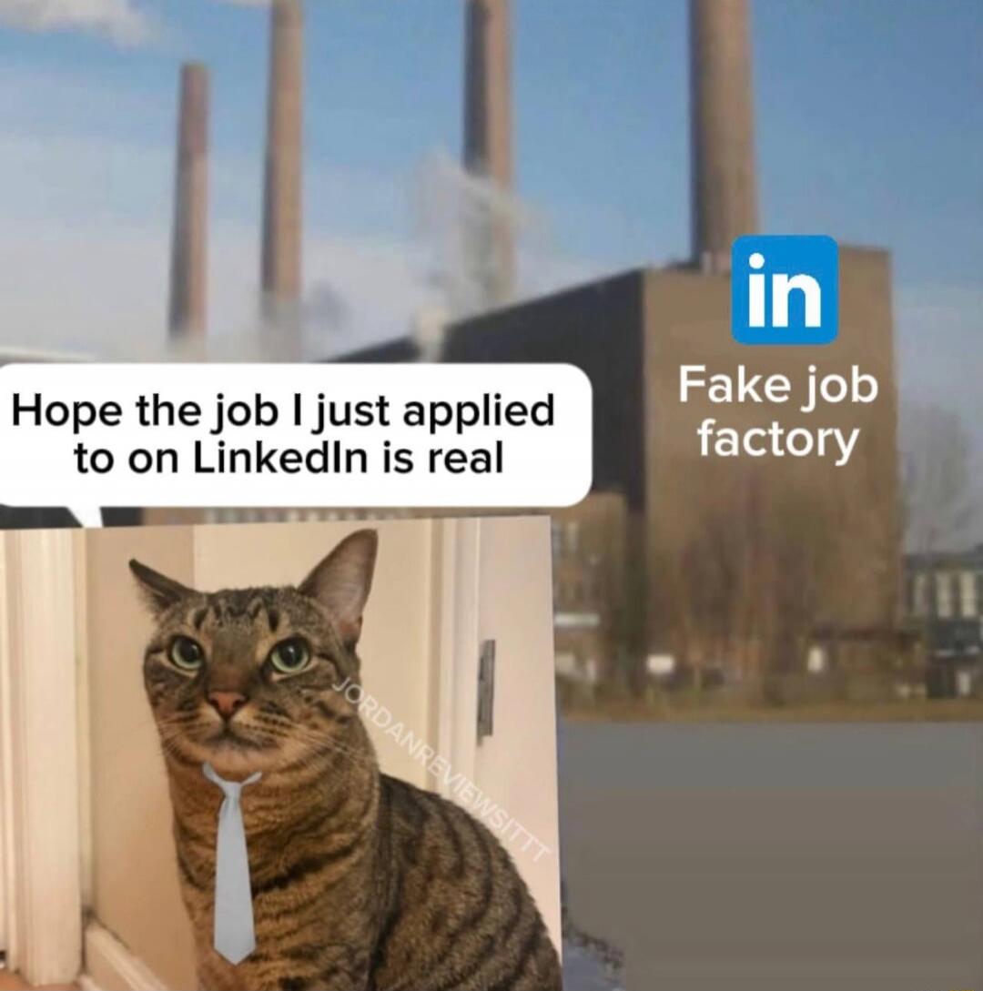 Hope the job I just applied to on LinkedIn is real. LinkedIn: Fake job factory.