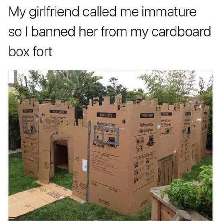 My girlfriend called me immature so banned her from my cardboard box fort