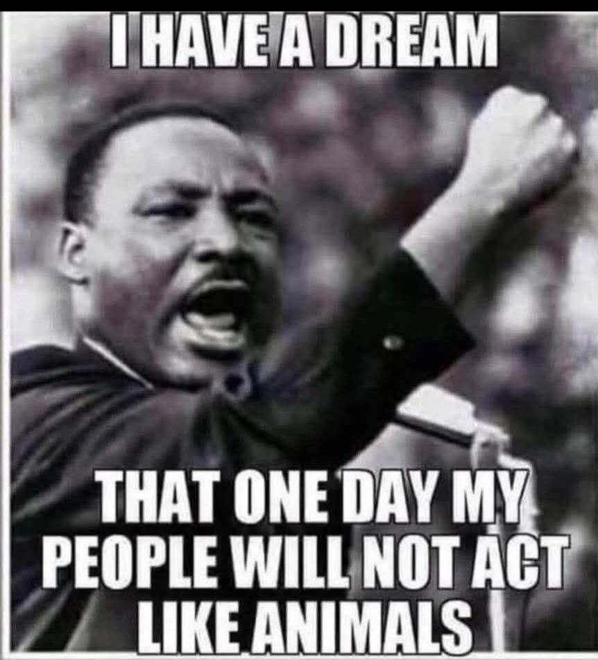 I HAVE A DREAM THAT ONE DAY MY PEOPLE WILL NOT ACT LIKE ANIMALS