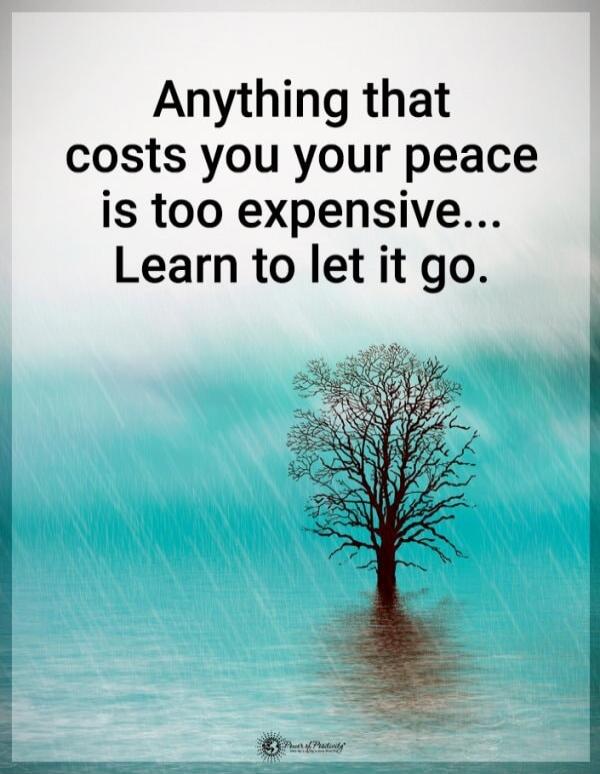 Anything that costs you your peace is too expensive... Learn to let it go.