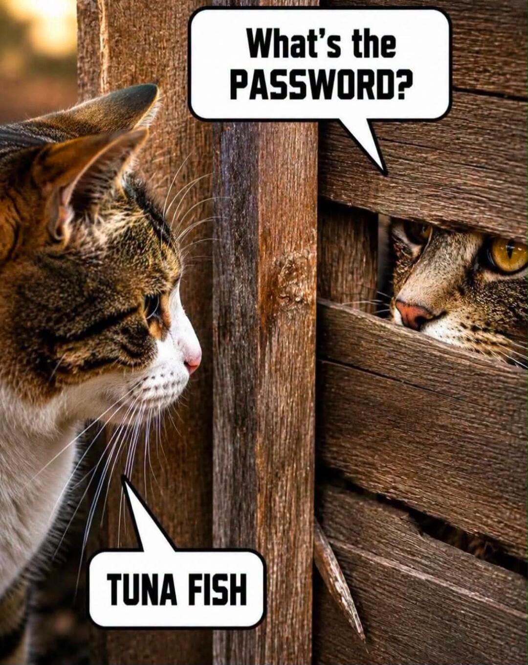 What's the PASSWORD? TUNA FISH