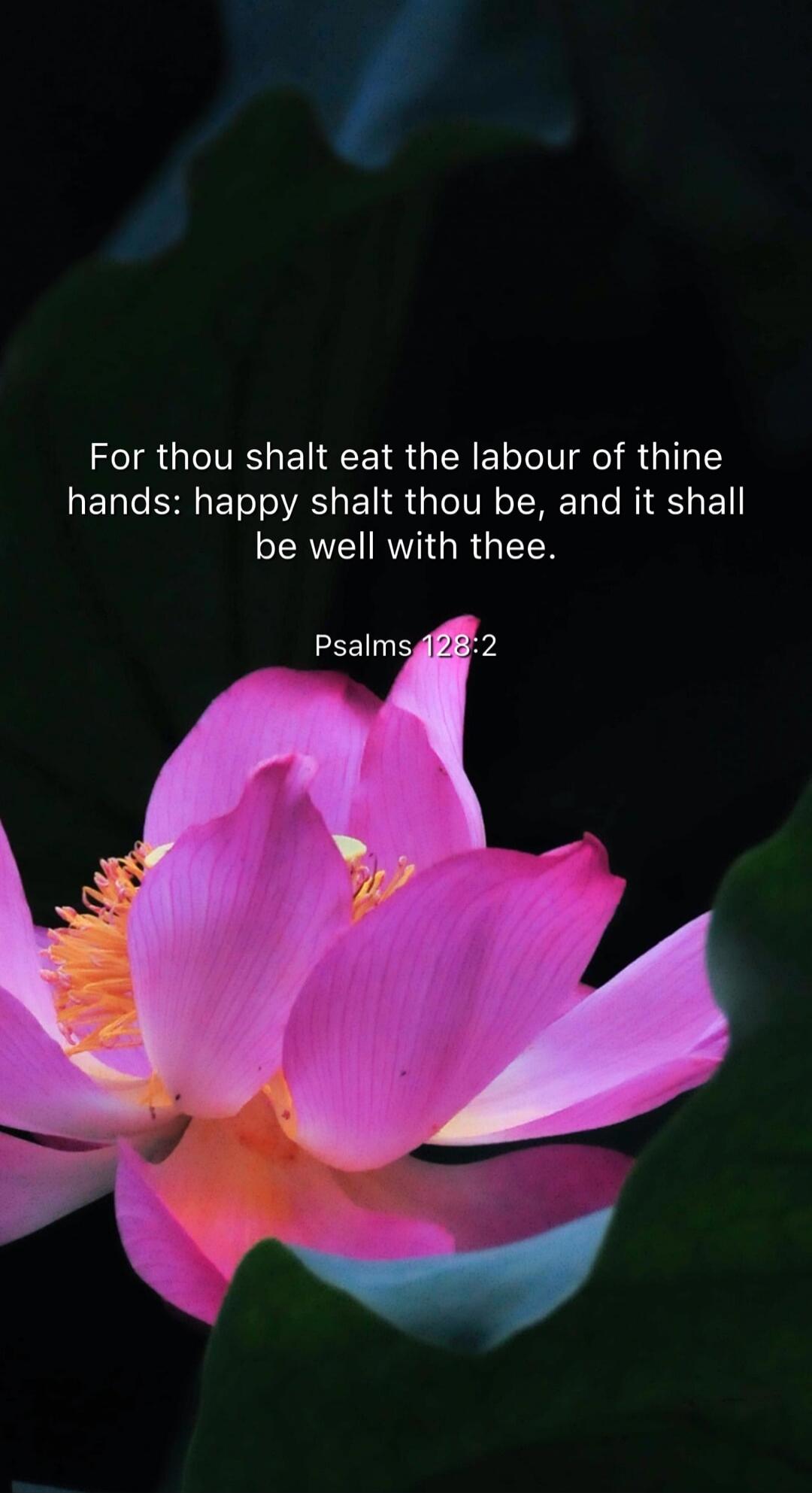 For thou shalt eat the labour of thine hands: happy shalt thou be, and it shall be well with thee. Psalms 128:2