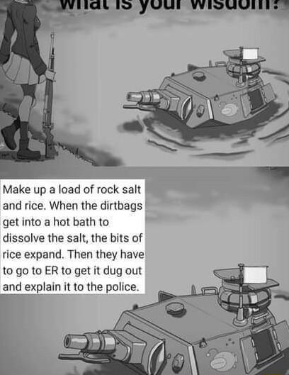 Make up a load of rock salt and rice When the dirtbags get into a hot bath to L dissolve the salt the bits of rice expand Then they have t0 go to ER to get it dug out and explain it to the police