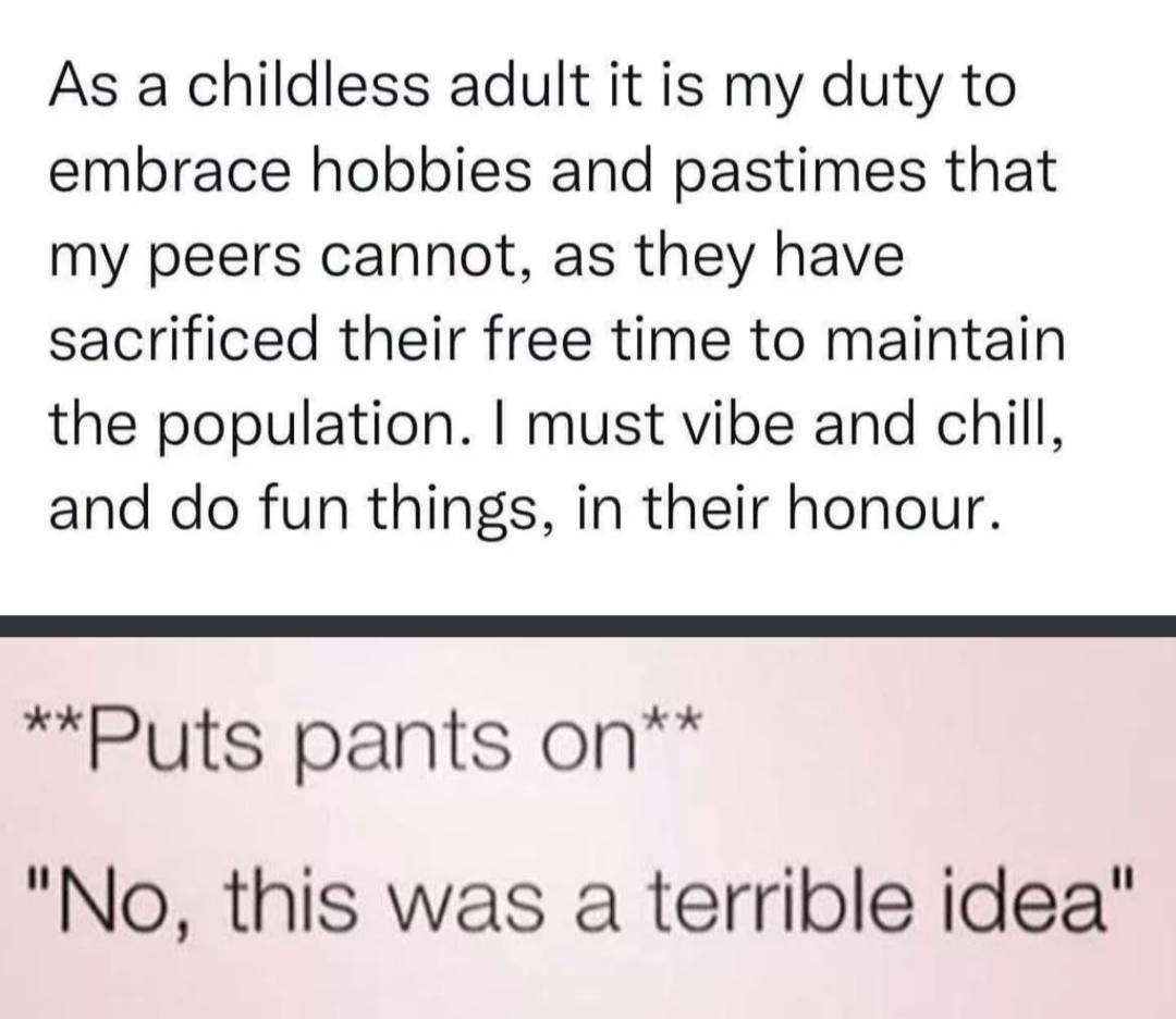 As a childless adult it is my duty to embrace hobbies and pastimes that my peers cannot as they have sacrificed their free time to maintain the population must vibe and chill and do fun things in their honour Puts pants on No this was a terrible idea