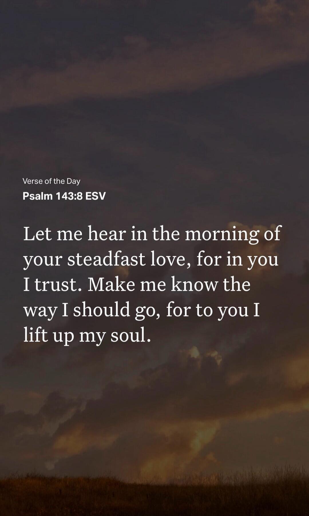 Verse of the Day
Psalm 143:8 ESV
Let me hear in the morning of your steadfast love, for in you I trust. Make me know the way I should go, for to you I lift up my soul.
