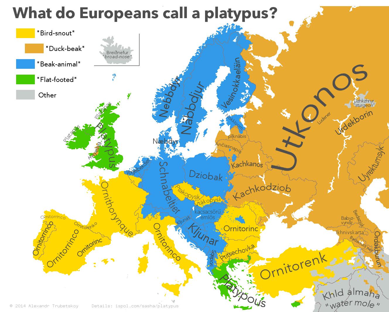 What do Europeans call a platypus Bird snout Duck beak Beak animal Flat footed by Other Breidnefur broad nose O Dehkehryr sturgeon A0 Ox 0 62 s NS OV ckodziob o i T4 e Ornitorinc khnivskaras 0 e o rS g o 7 ig B i r d Imaha