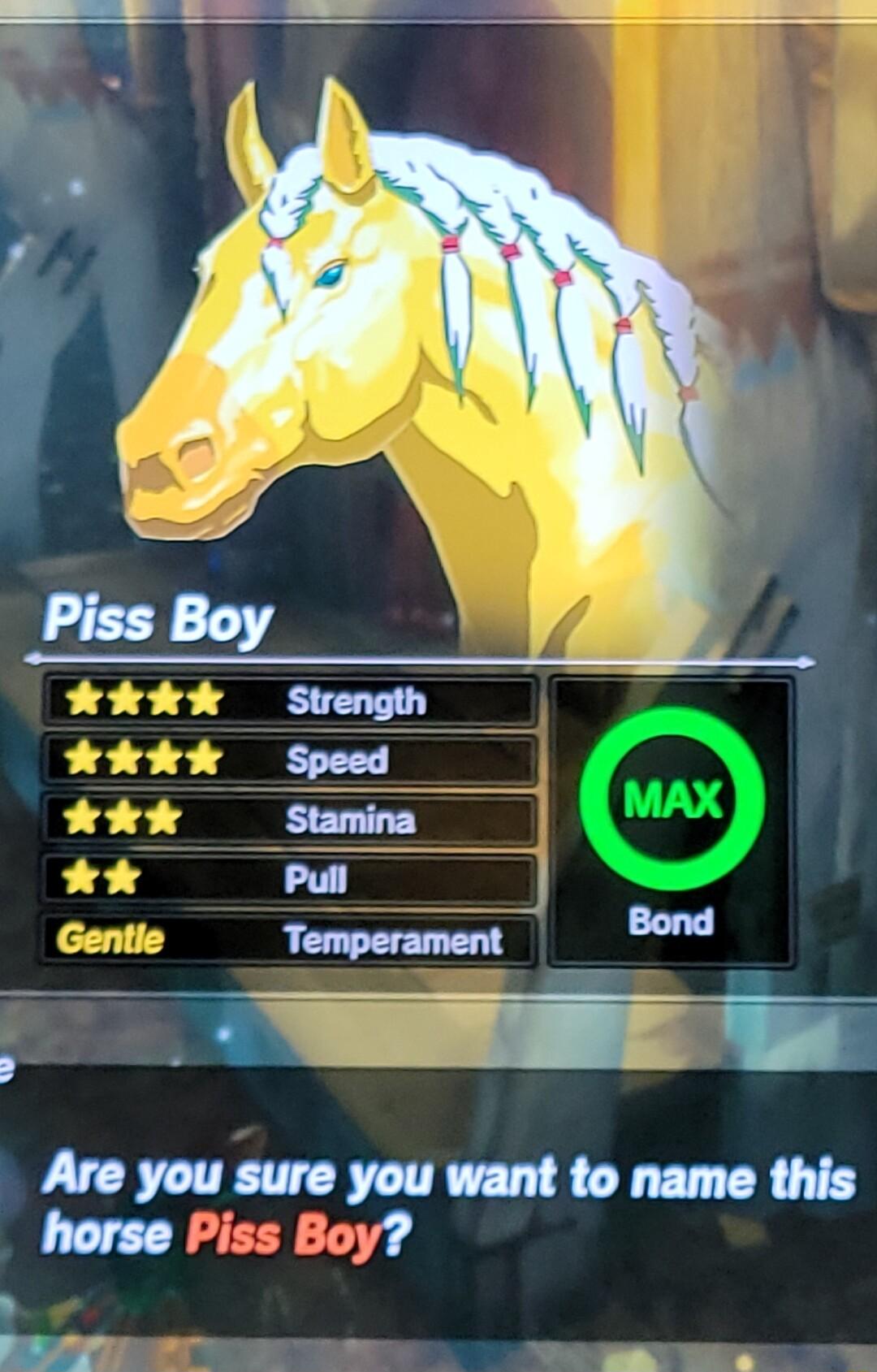 Are you sure you want to name this horse Piss Boy AV o